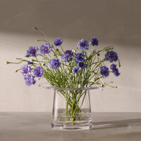 LSA Victoria Vase / Lantern Clear